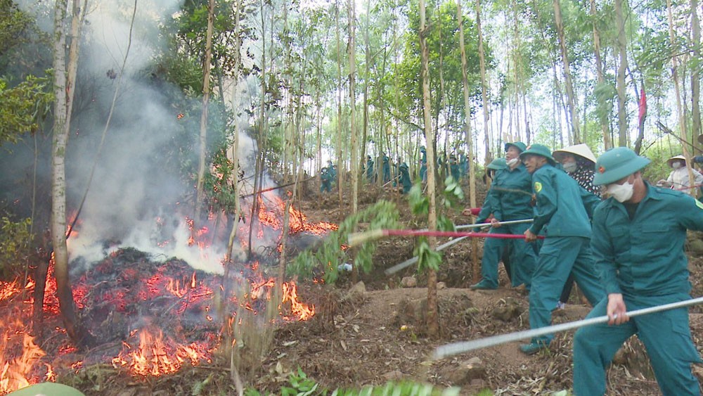 Triển khai có hiệu quả các biện pháp phòng cháy, chữa cháy rừng