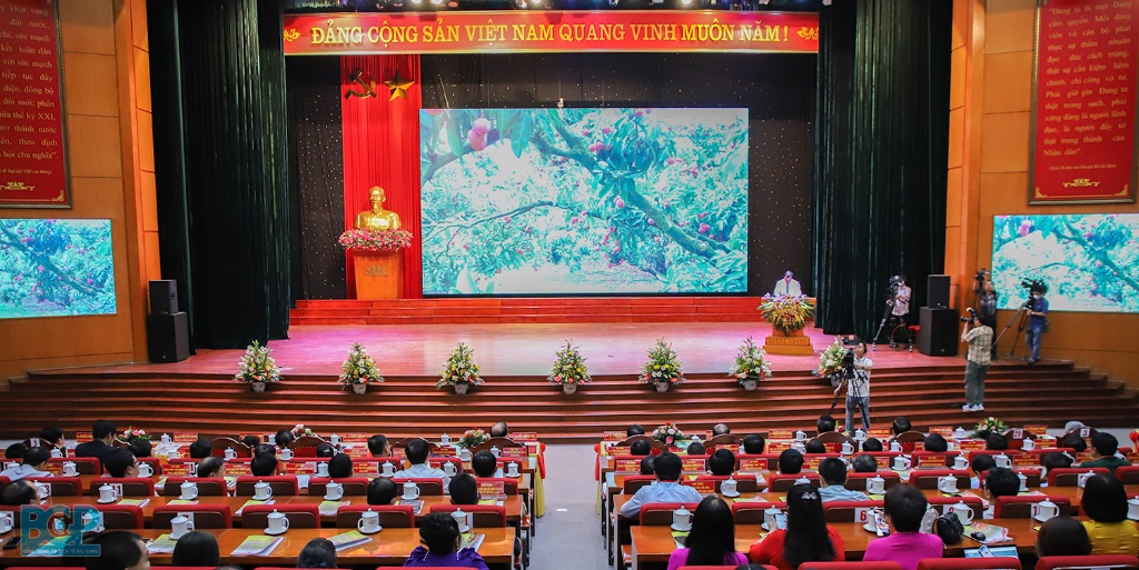 Bac Giang organizes an online conference to promote lychee consumption with nearly 80 domestic...