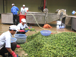 To promote investment attraction for the development of Bac Giang’s processing industry of...