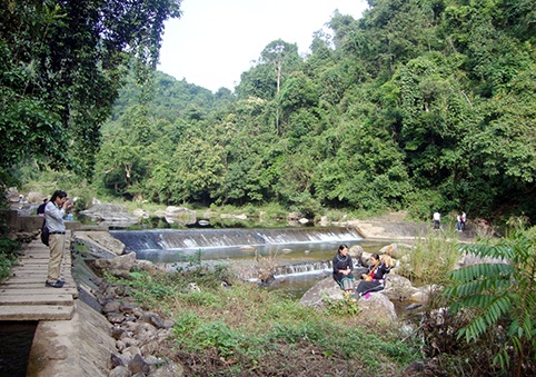 Tay Yen Tu Nature Reserve